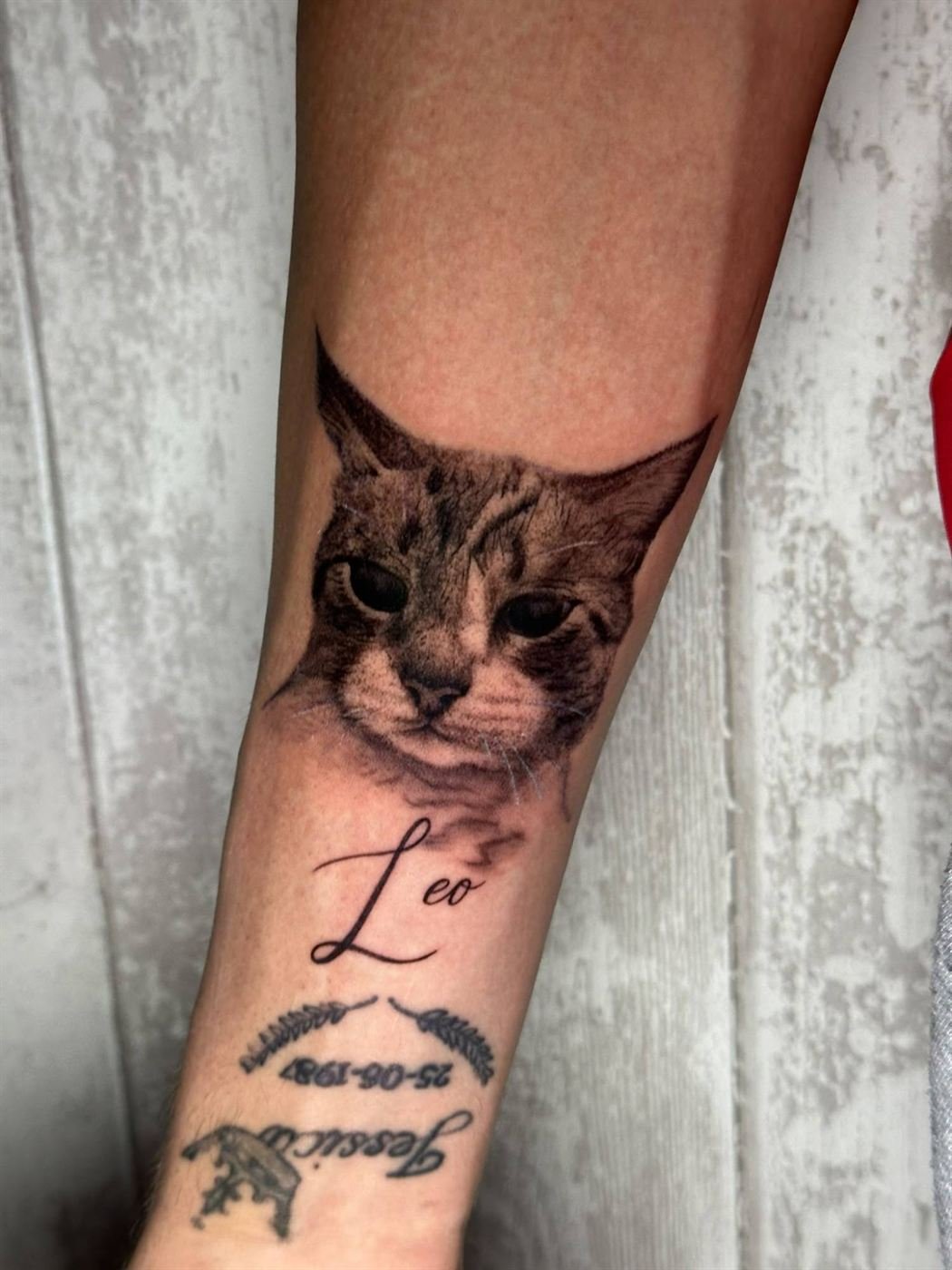 Retrato realista de un gato con su nombre, Leo, en el antebrazo